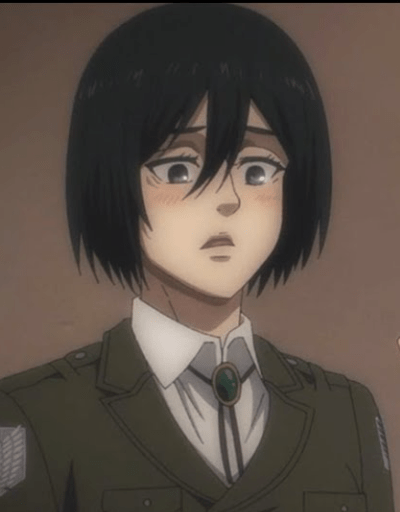 ACKERMAN, Mikasa